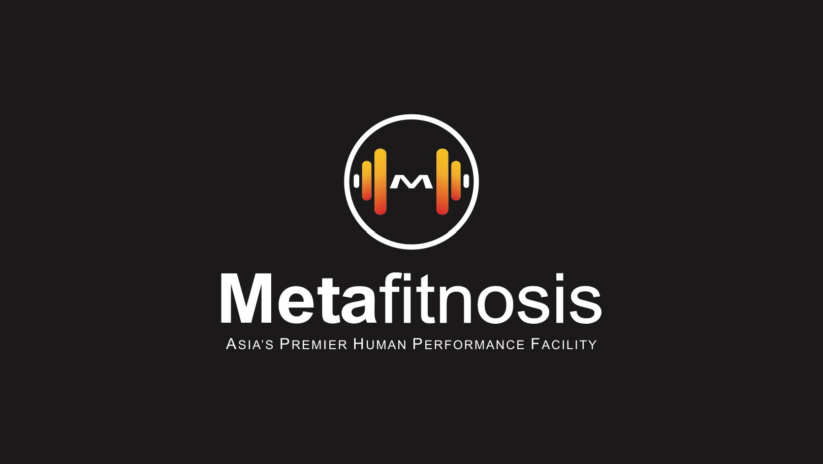 Metafitnosis