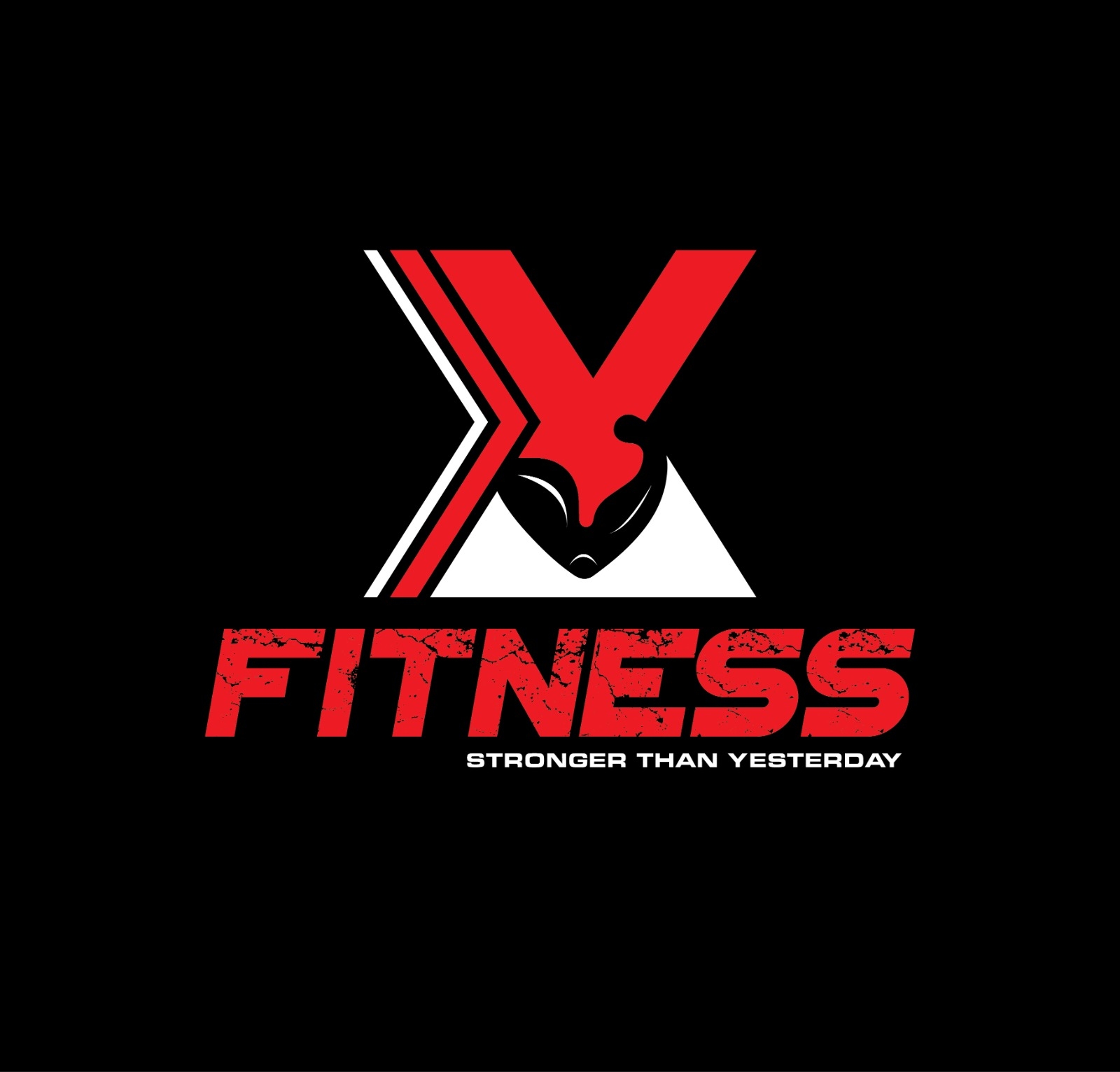 X Fitness Gym